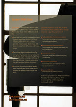 Lade das Bild in den Galerie-Viewer, Dr. John: Swanee River Boogie - Musiknoten Download