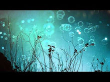 Laden und Abspielen von Videos im Galerie-Viewer, Amos, Tori: Summertime (Live) - Musiknoten Download