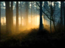 Laden und Abspielen von Videos im Galerie-Viewer, Nova Nova: Tones - Musiknoten Download