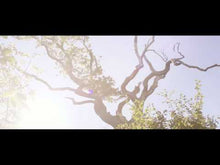 Load and play video in Gallery viewer, Tingvall, Martin: last summer - Sheet Music Download