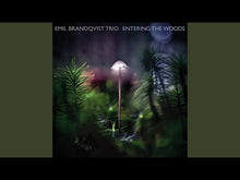 Load and play video in Gallery viewer, Emil Brandqvist Trio: Entering The Woods - CD (Album)
