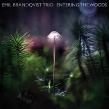 Lade das Bild in den Galerie-Viewer, Emil Brandqvist Trio: Entering The Woods - CD (Album)
