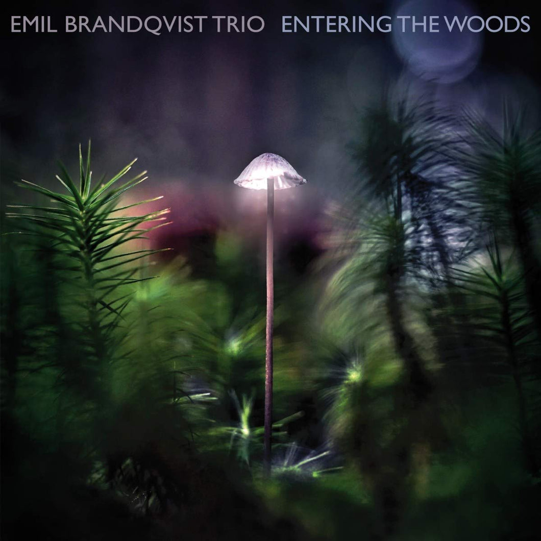 Emil Brandqvist Trio: Entering The Woods - CD (Album)